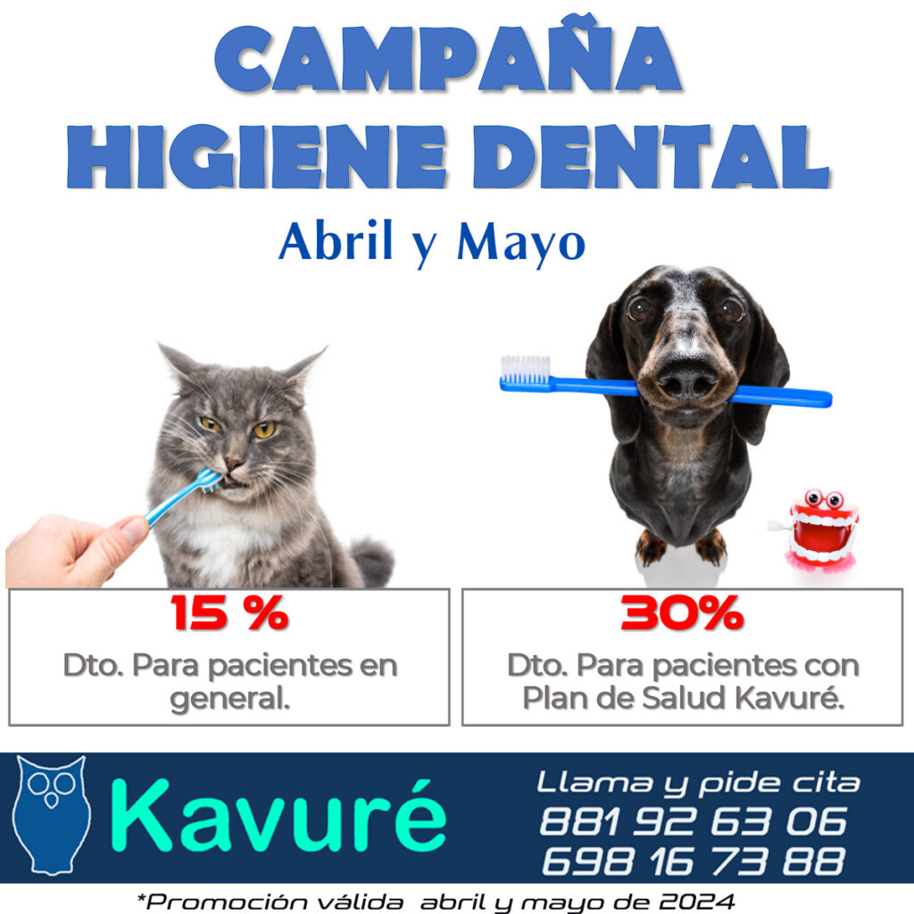 Campaña de “Higiene Dental 2024”